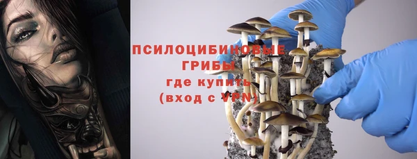 ПСИЛОЦИБИНОВЫЕ ГРИБЫ Алексин