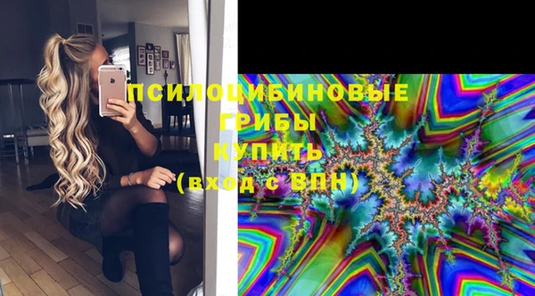 ПСИЛОЦИБИНОВЫЕ ГРИБЫ Алексин