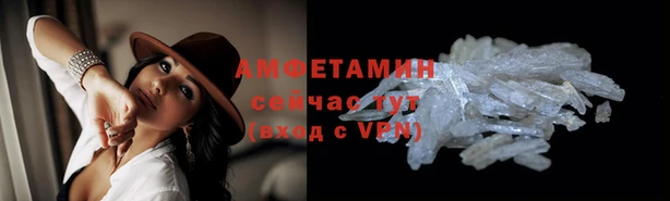 ПСИЛОЦИБИНОВЫЕ ГРИБЫ Алексин