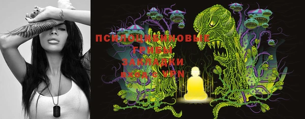 прущие грибы Абдулино