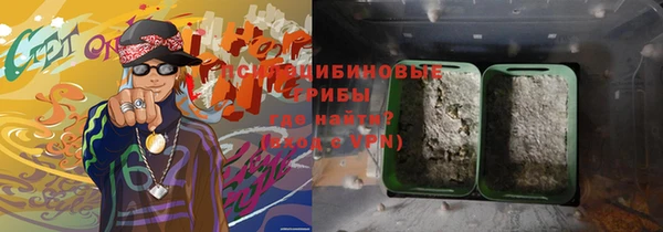 ПСИЛОЦИБИНОВЫЕ ГРИБЫ Алексин