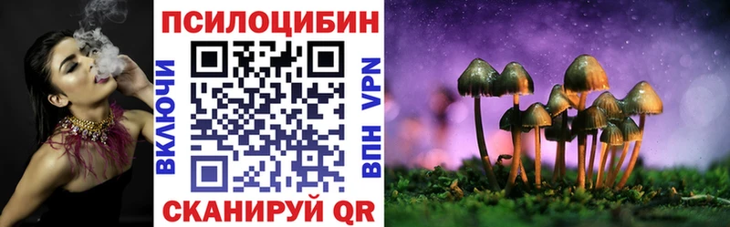 как найти закладки  Новотитаровская  Галлюциногенные грибы прущие грибы 