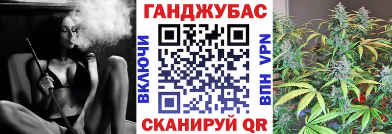 Бошки Шишки семена Новотитаровская